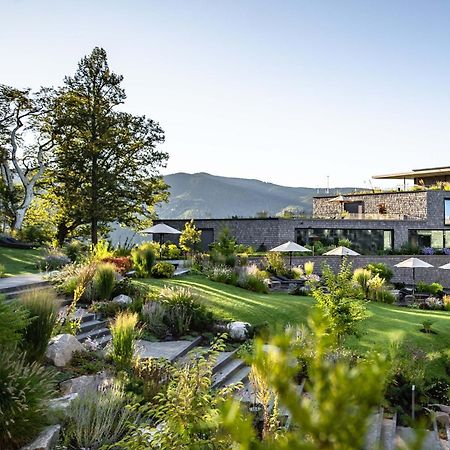 Luisenhoehe - Gesundheitsresort Schwarzwald Horben エクステリア 写真